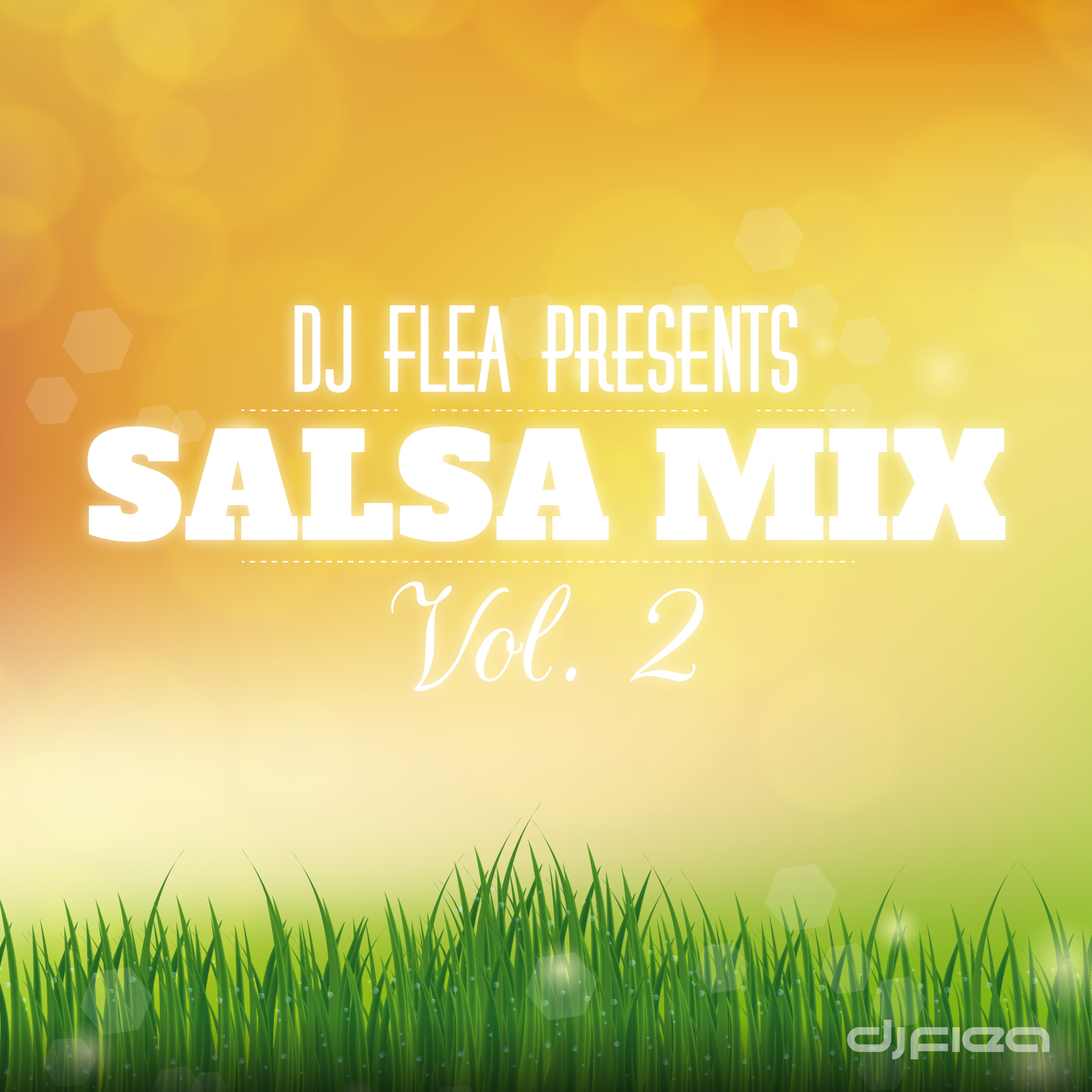 Salsa Mix, Vol. 2